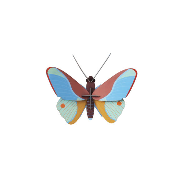 Claudina Butterfly