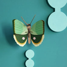 Afbeelding in Gallery-weergave laden, Fern Striped Butterfly
