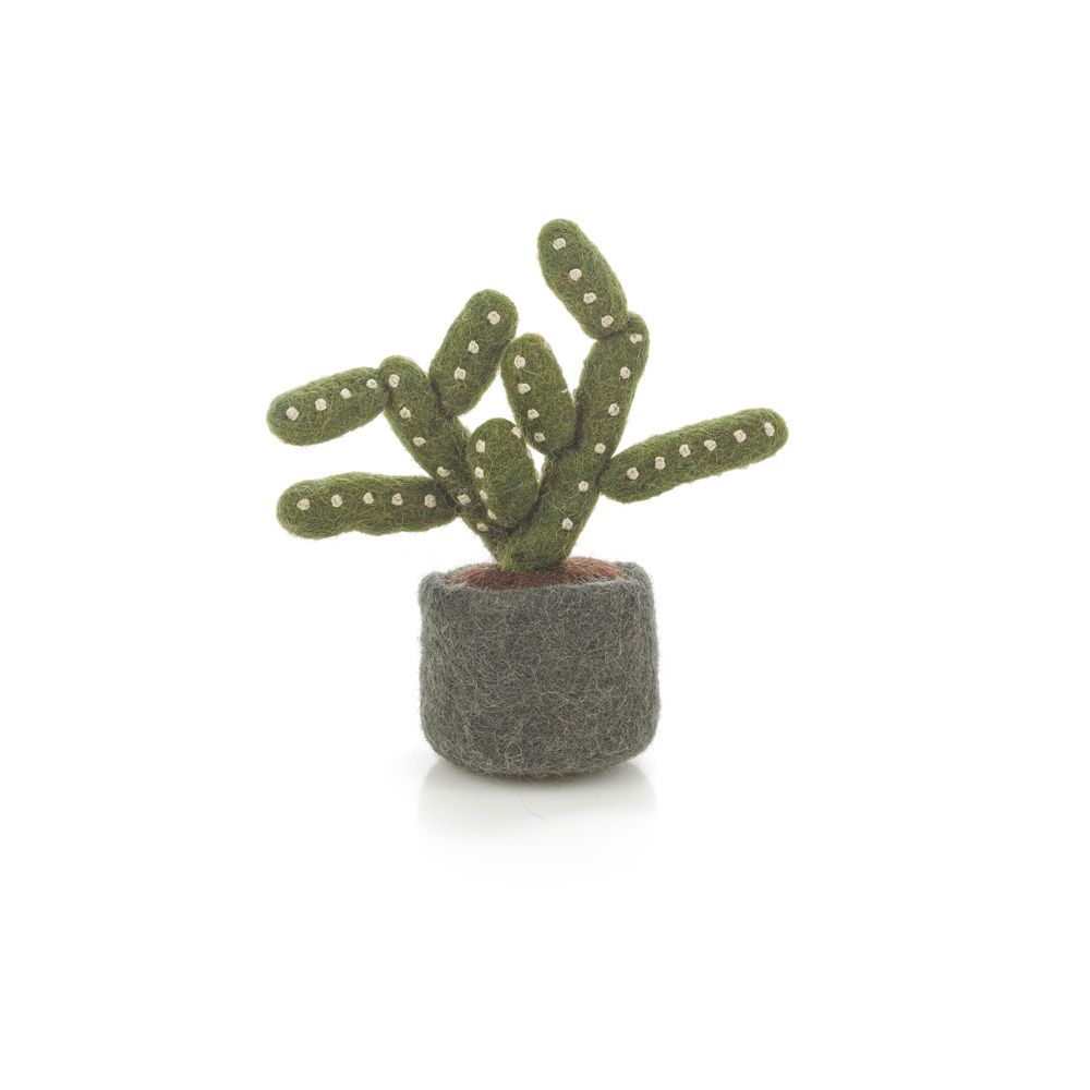 Vilten Pencil Cactus