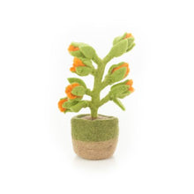 Load image into Gallery viewer, Happy Houseplant - Orange Bloom
