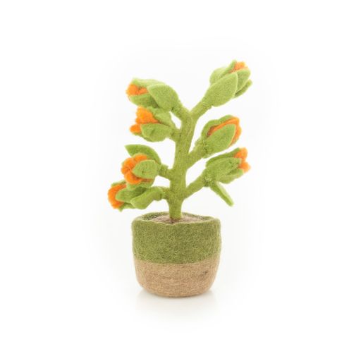 Happy Houseplant - Orange Bloom