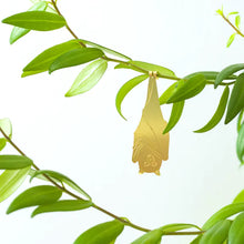 Afbeelding in Gallery-weergave laden, Plant Animal: Fruit Bat
