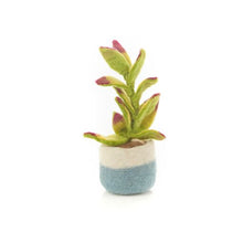 Load image into Gallery viewer, Happy Houseplant - Purple Tips
